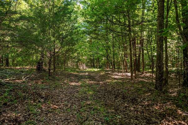 201 Acres of Recreational & Residential Land for Sale in Conway, Arkansas