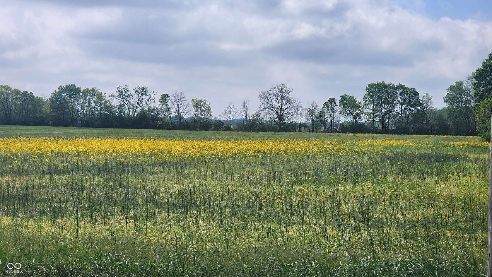 10.5 Acres of Land for Sale in Whiteland, Indiana