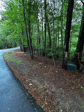 1 Acre of Residential Land for Sale in Ellijay, Georgia