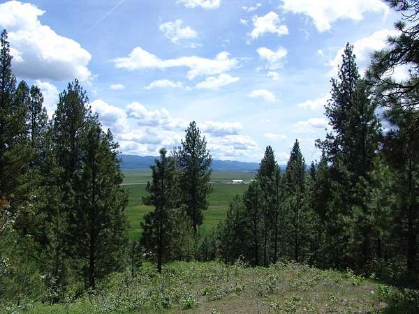 4.27 Acres of Land for Sale in Cascade, Idaho
