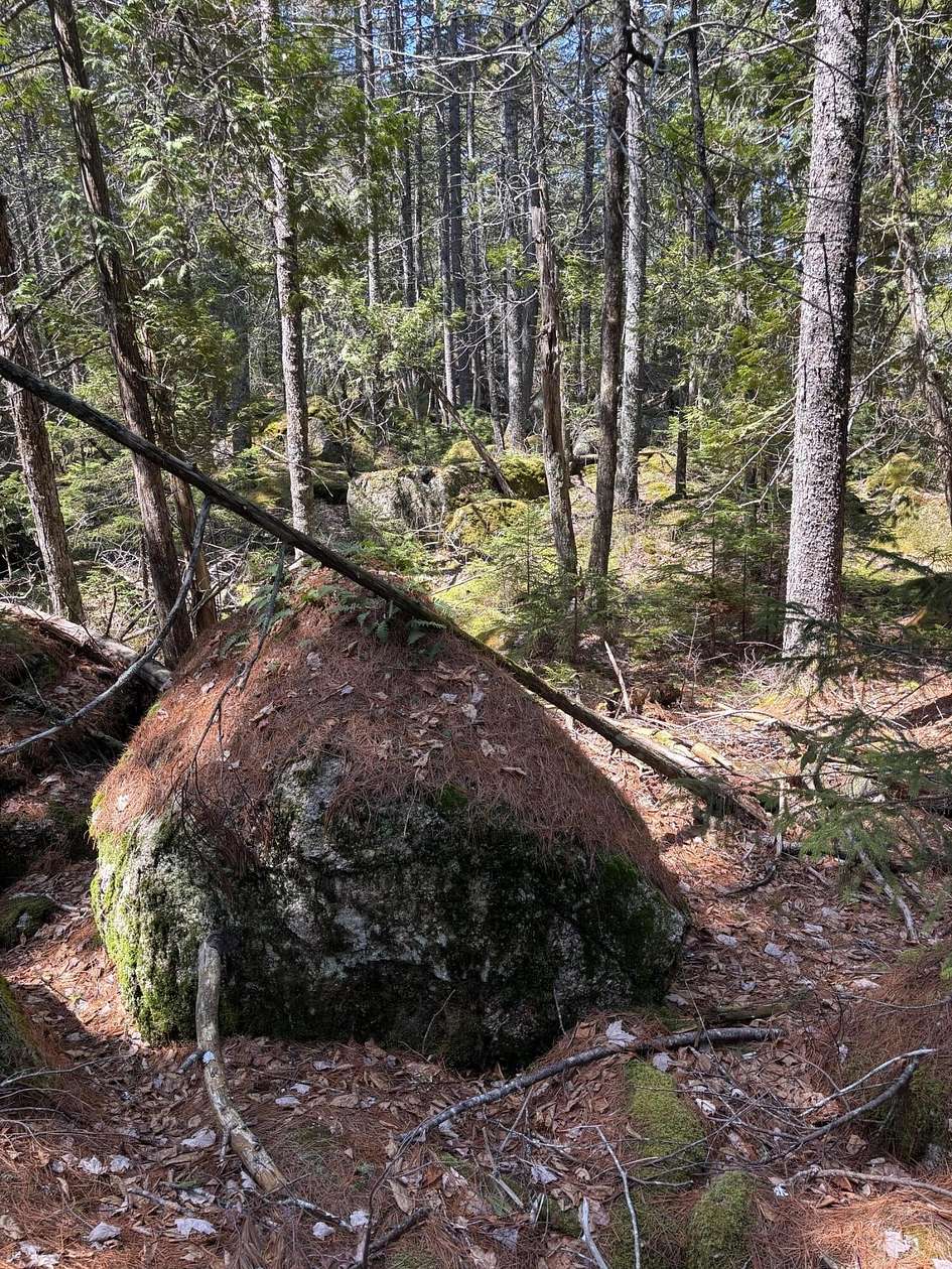 13.9 Acres of Mixed-Use Land for Sale in Orland, Maine
