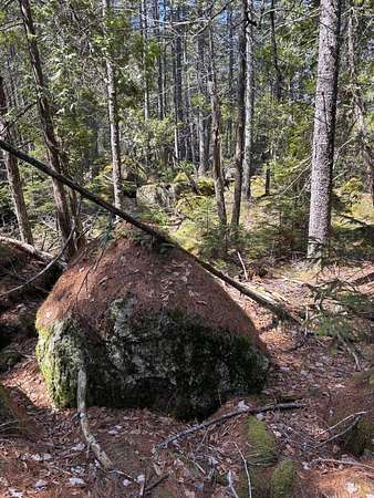 13.9 Acres of Mixed-Use Land for Sale in Orland, Maine