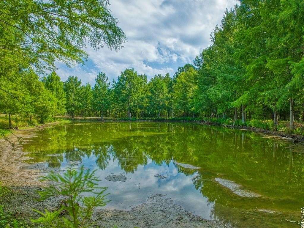 14.8 Acres of Land with Home for Sale in Brookeland, Texas