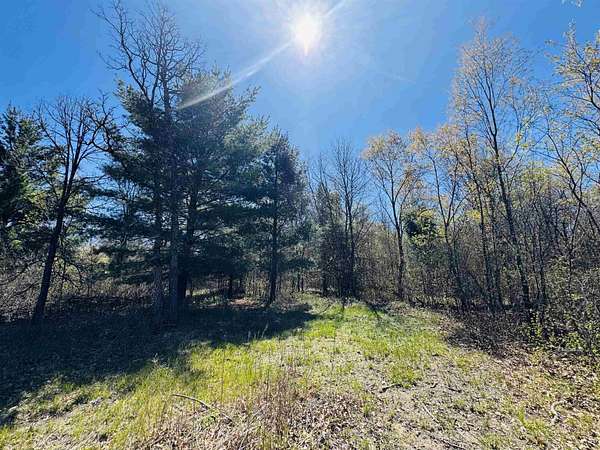 6 Acres of Residential Land for Sale in Wisconsin Rapids, Wisconsin