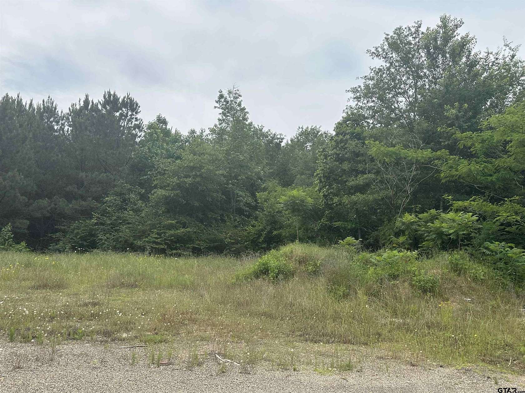 6 Acres of Residential Land for Sale in Tyler, Texas