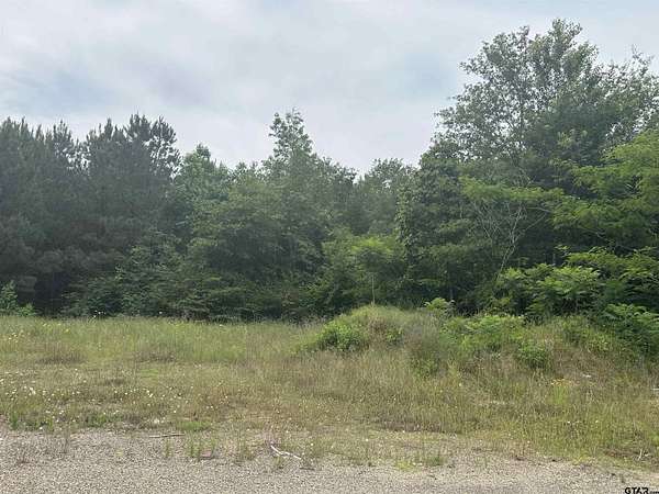 6 Acres of Residential Land for Sale in Tyler, Texas
