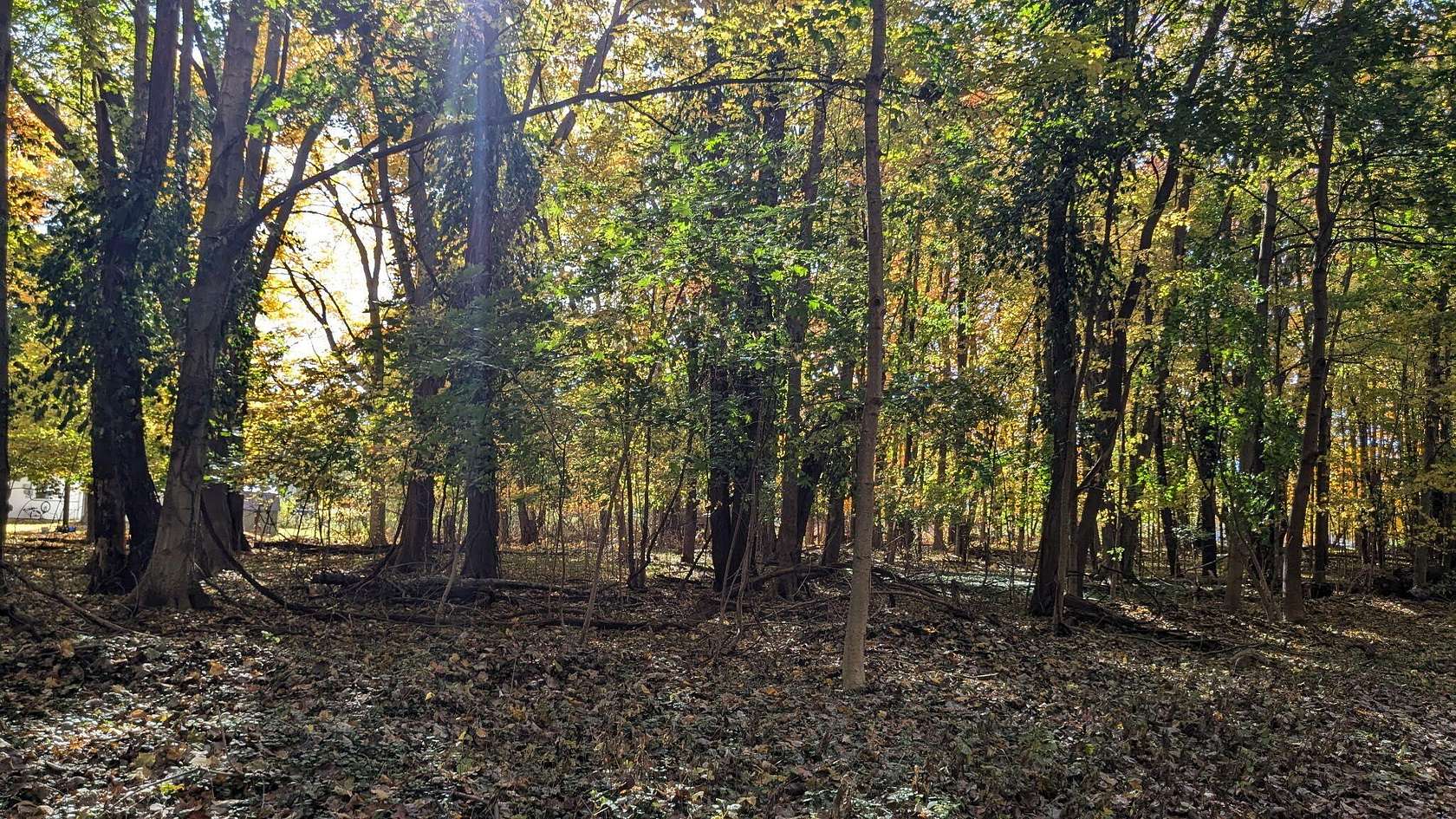 1.13 Acres of Residential Land for Sale in Buchanan, Michigan
