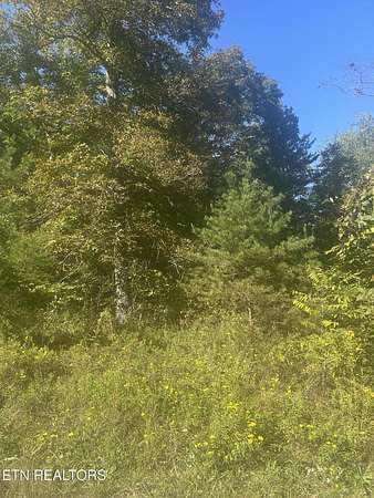 1 Acre of Land for Sale in Crossville, Tennessee
