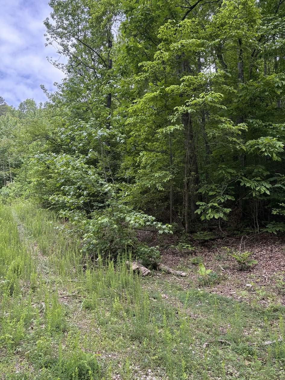 7 Acres of Residential Land for Sale in Whitwell, Tennessee