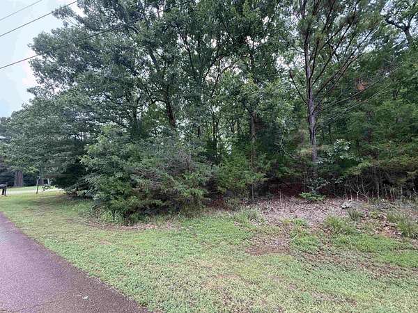 Residential Land for Sale in Saulsbury, Tennessee
