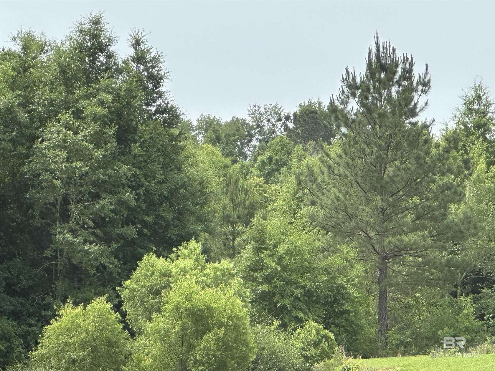 5 Acres of Residential Land for Sale in Daphne, Alabama