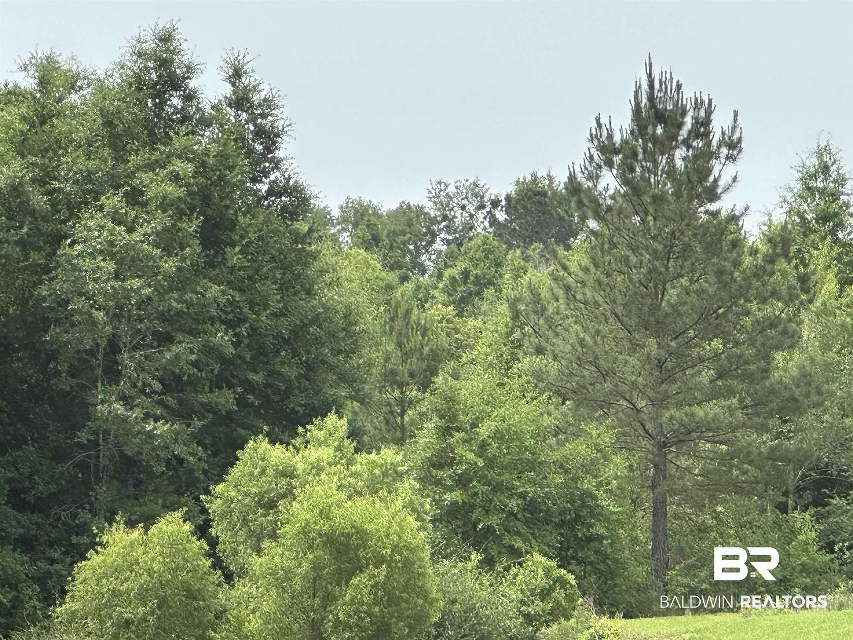 5 Acres of Land for Sale in Daphne, Alabama