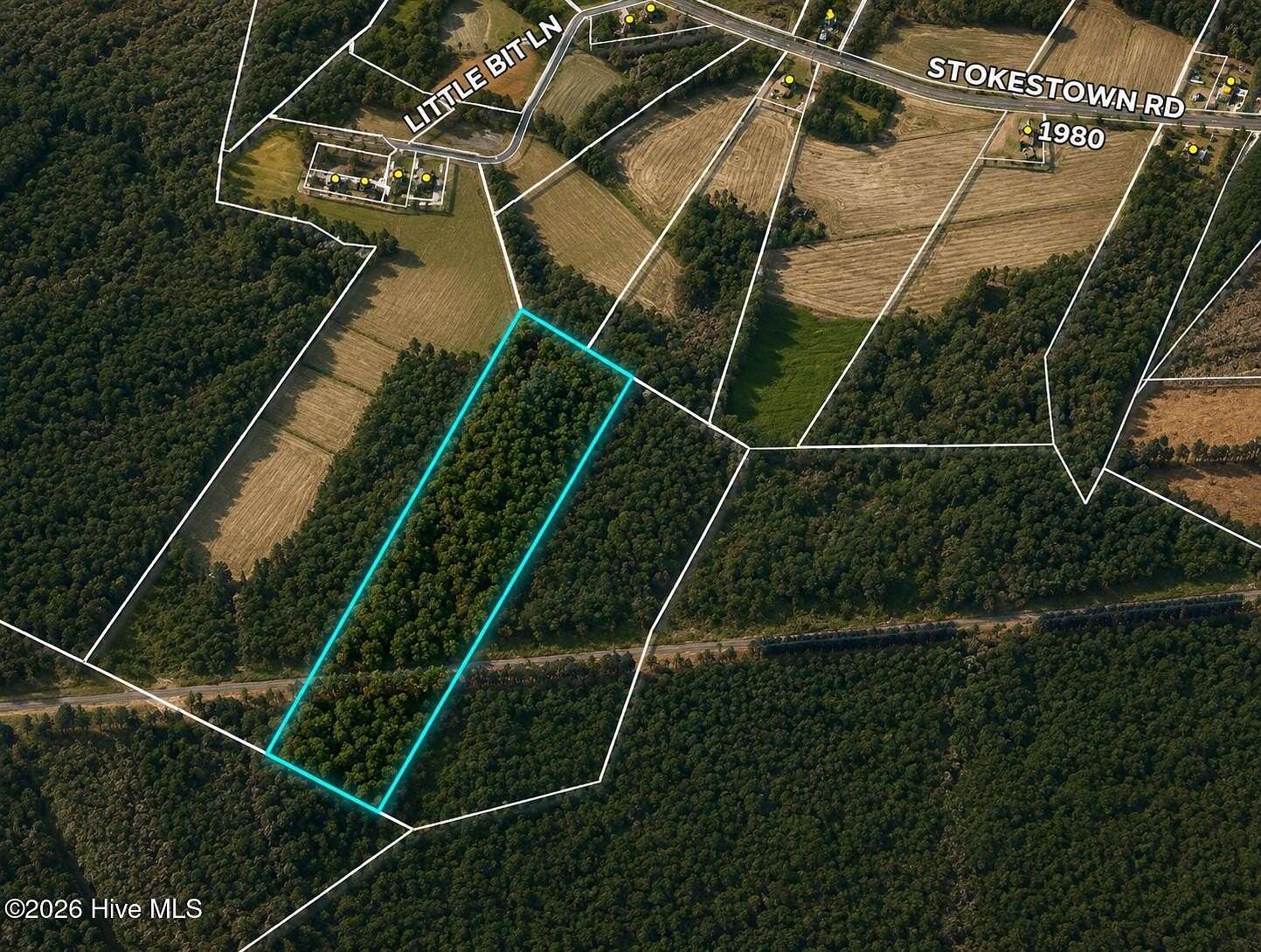 20 Acres of Recreational & Residential Land for Sale in Wallace, North Carolina