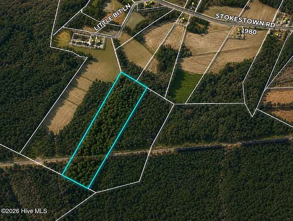 20 Acres of Recreational & Residential Land for Sale in Wallace, North Carolina