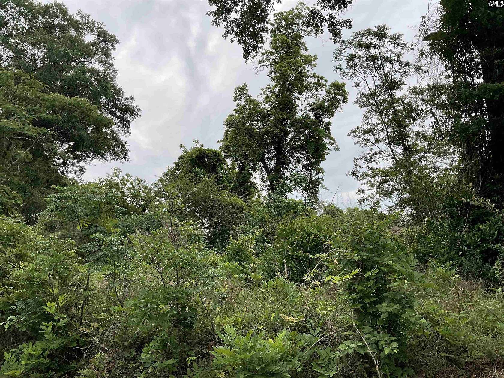 0.5 Acres of Residential Land for Sale in Bamberg, South Carolina
