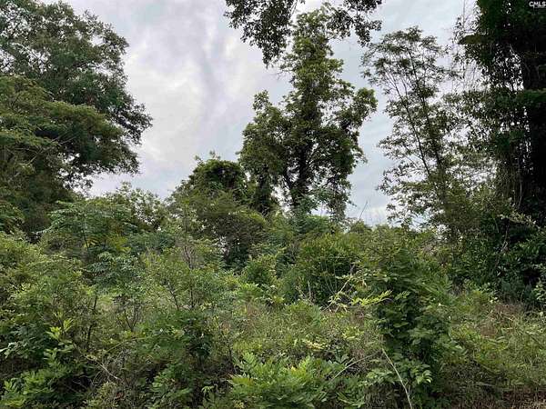 0.5 Acres of Residential Land for Sale in Bamberg, South Carolina
