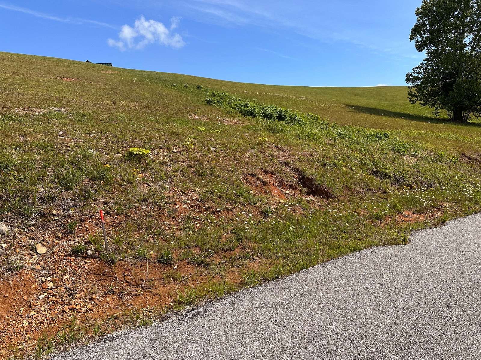 1 Acre of Residential Land for Sale in Celina, Tennessee