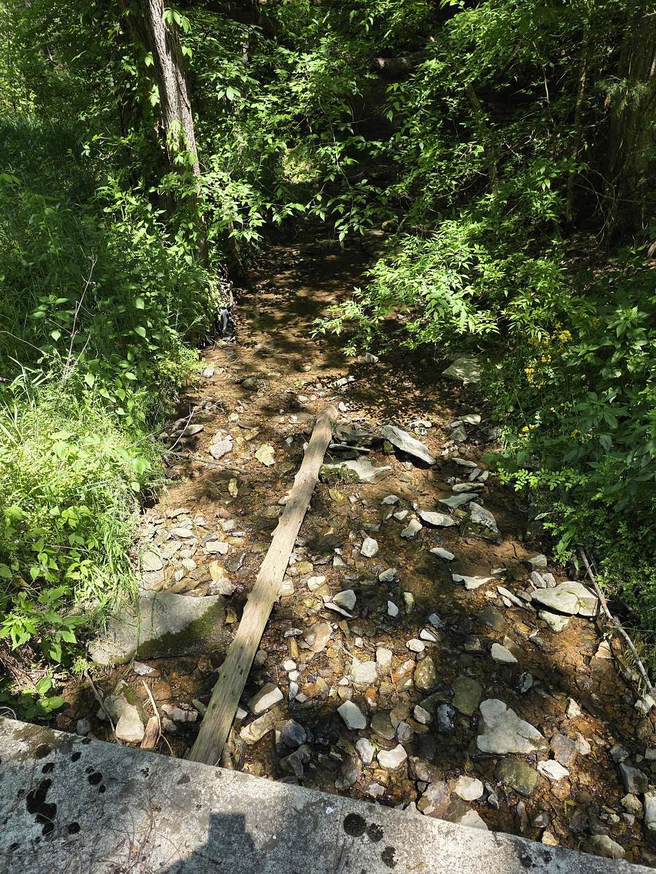 48.2 Acres of Recreational & Residential Land for Sale in Lynchburg, Tennessee