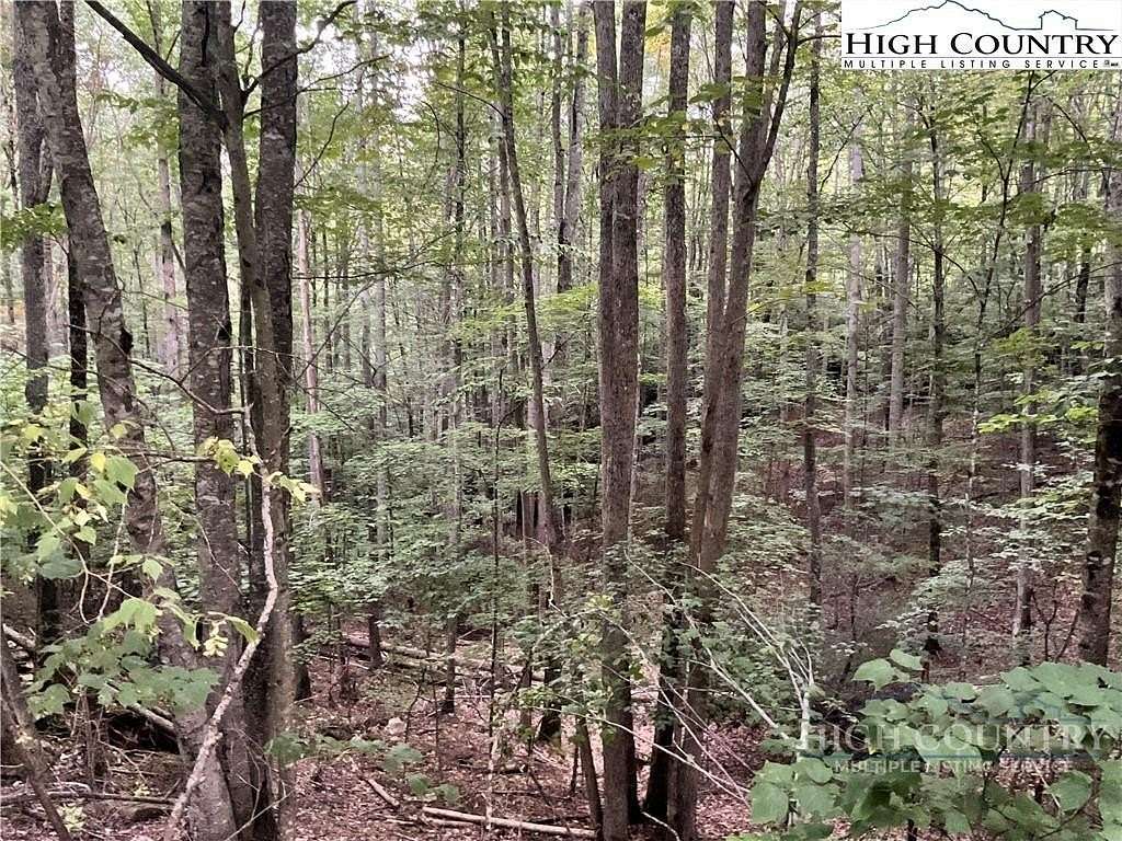 0.37 Acres of Land for Sale in Beech Mountain, North Carolina