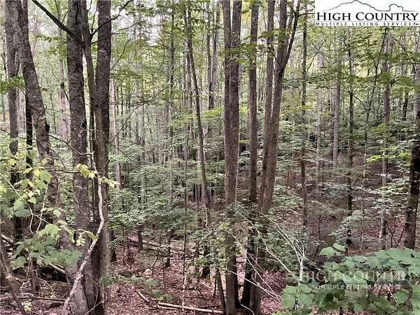 0.37 Acres of Land for Sale in Beech Mountain, North Carolina