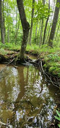 9.54 Acres of Land for Sale in Tracy City, Tennessee