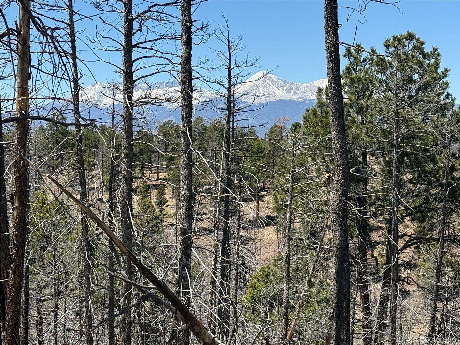 3.89 Acres of Residential Land for Sale in Fort Garland, Colorado