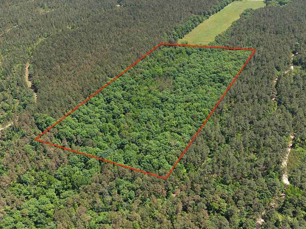 20 Acres of Recreational Land for Sale in Langley, Arkansas