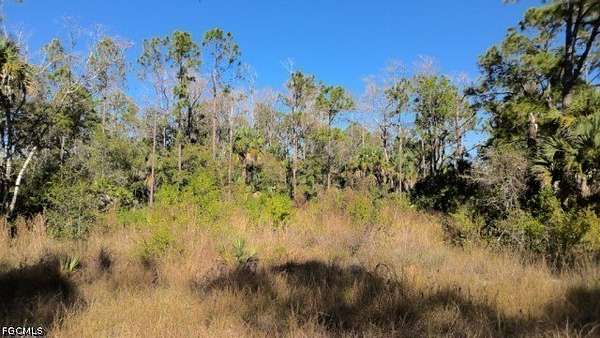 0.25 Acres of Residential Land for Sale in Lehigh Acres, Florida