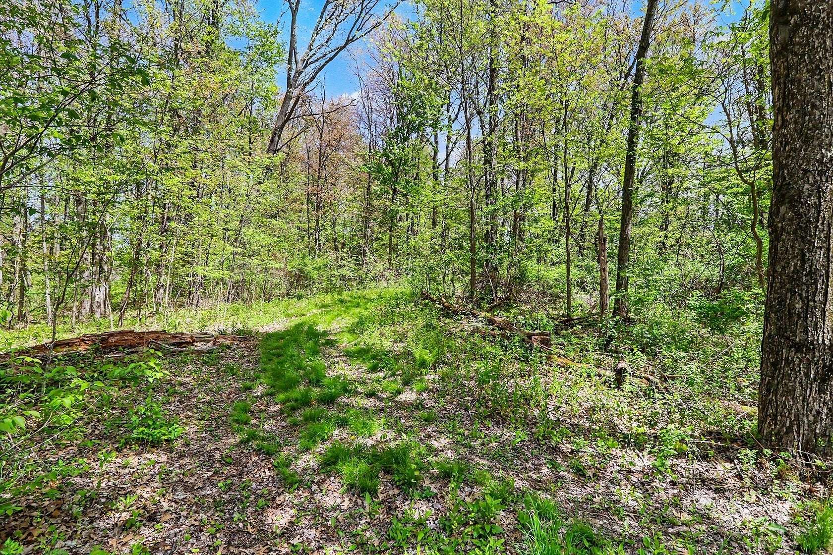 58.1 Acres of Recreational & Residential Land for Sale in Battle Creek, Michigan