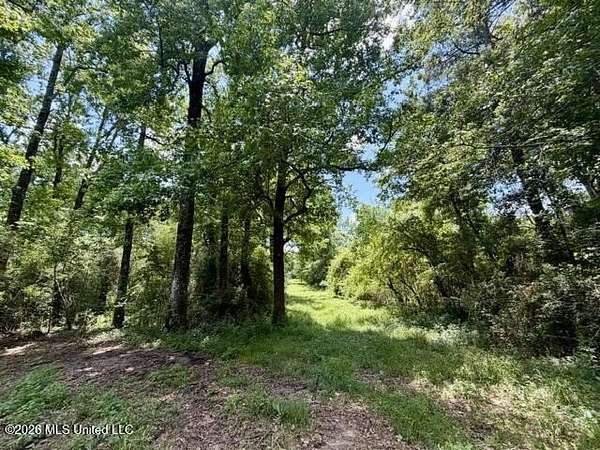 36 Acres of Recreational & Residential Land for Sale in Tylertown, Mississippi