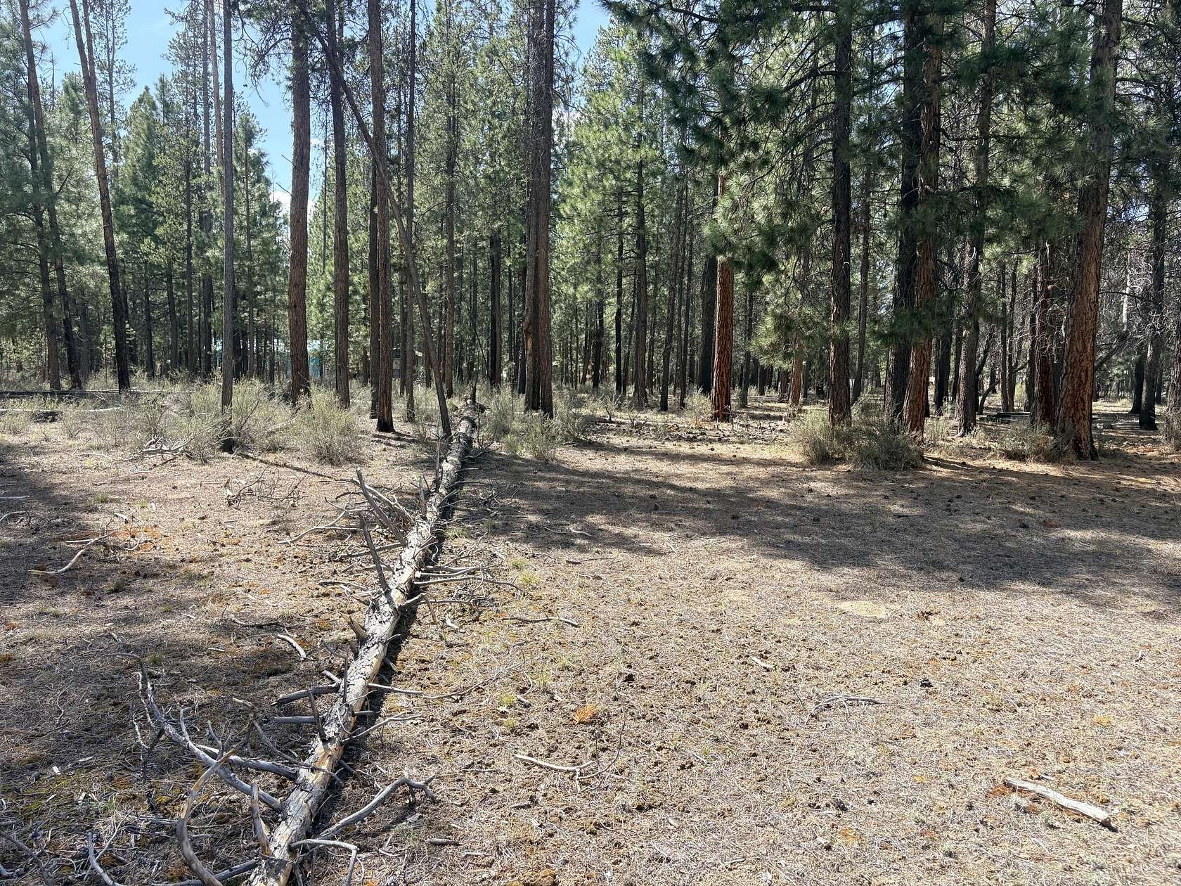 3.1 Acres of Residential Land for Sale in La Pine, Oregon