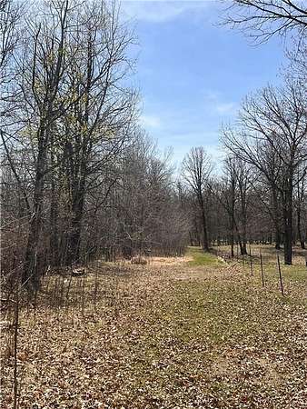 40.5 Acres of Recreational Land for Sale in Cass Lake, Minnesota