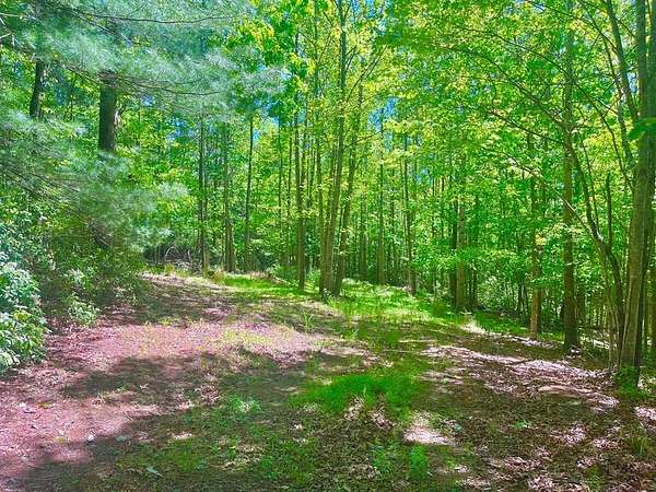 15.5 Acres of Land for Sale in Stuart, Virginia