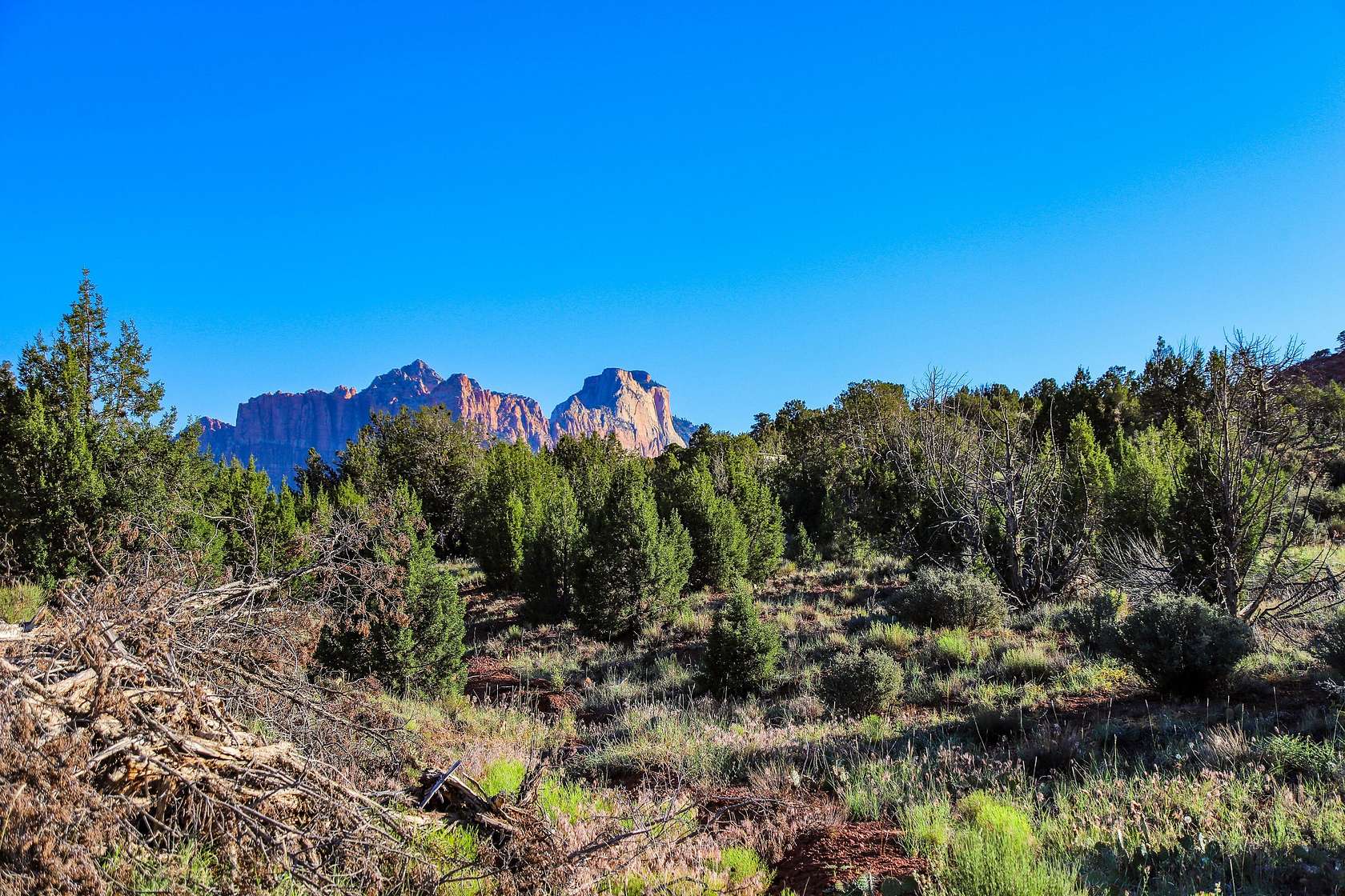 0.34 Acres of Residential Land for Sale in Rockville, Utah