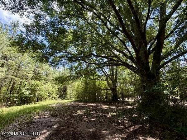 65 Acres of Recreational & Residential Land for Sale in Tylertown, Mississippi