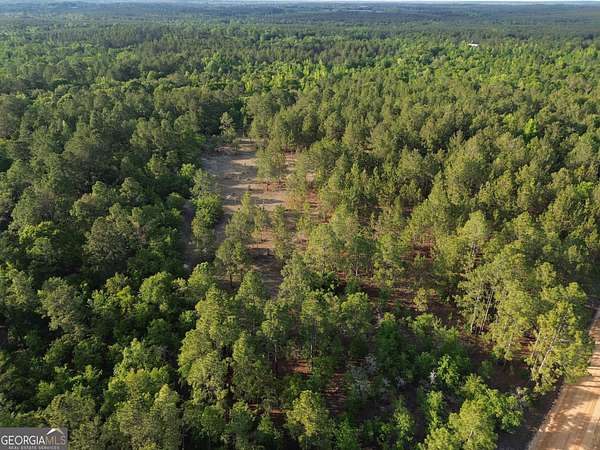 8 Acres of Residential Land for Sale in Cadwell, Georgia