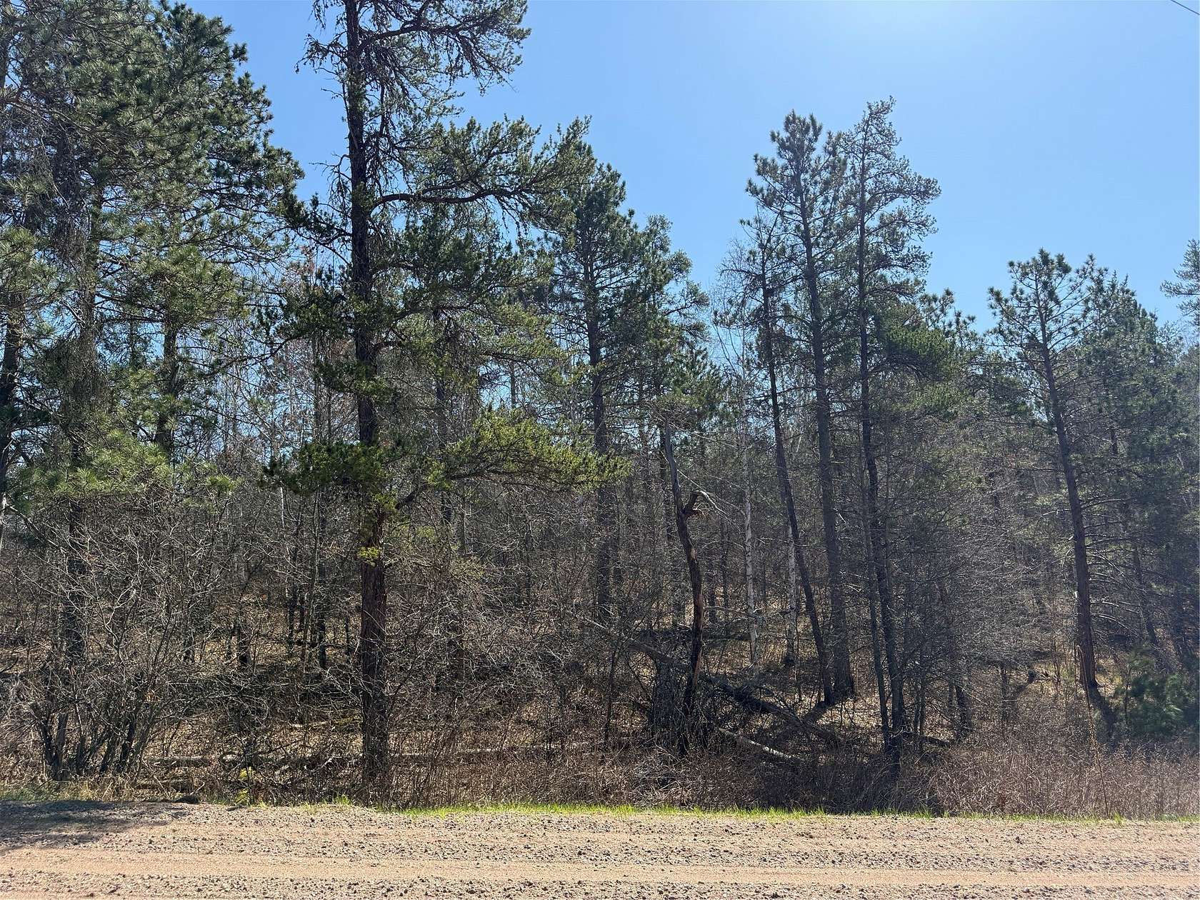 1 Acre of Residential Land for Sale in Barnes Town, Wisconsin