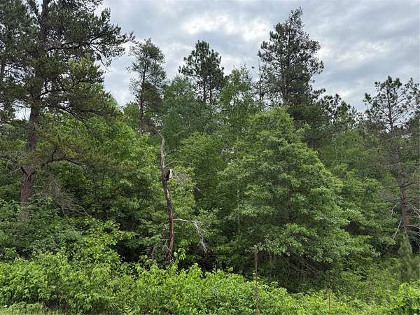 1 Acre of Residential Land for Sale in Barnes Town, Wisconsin