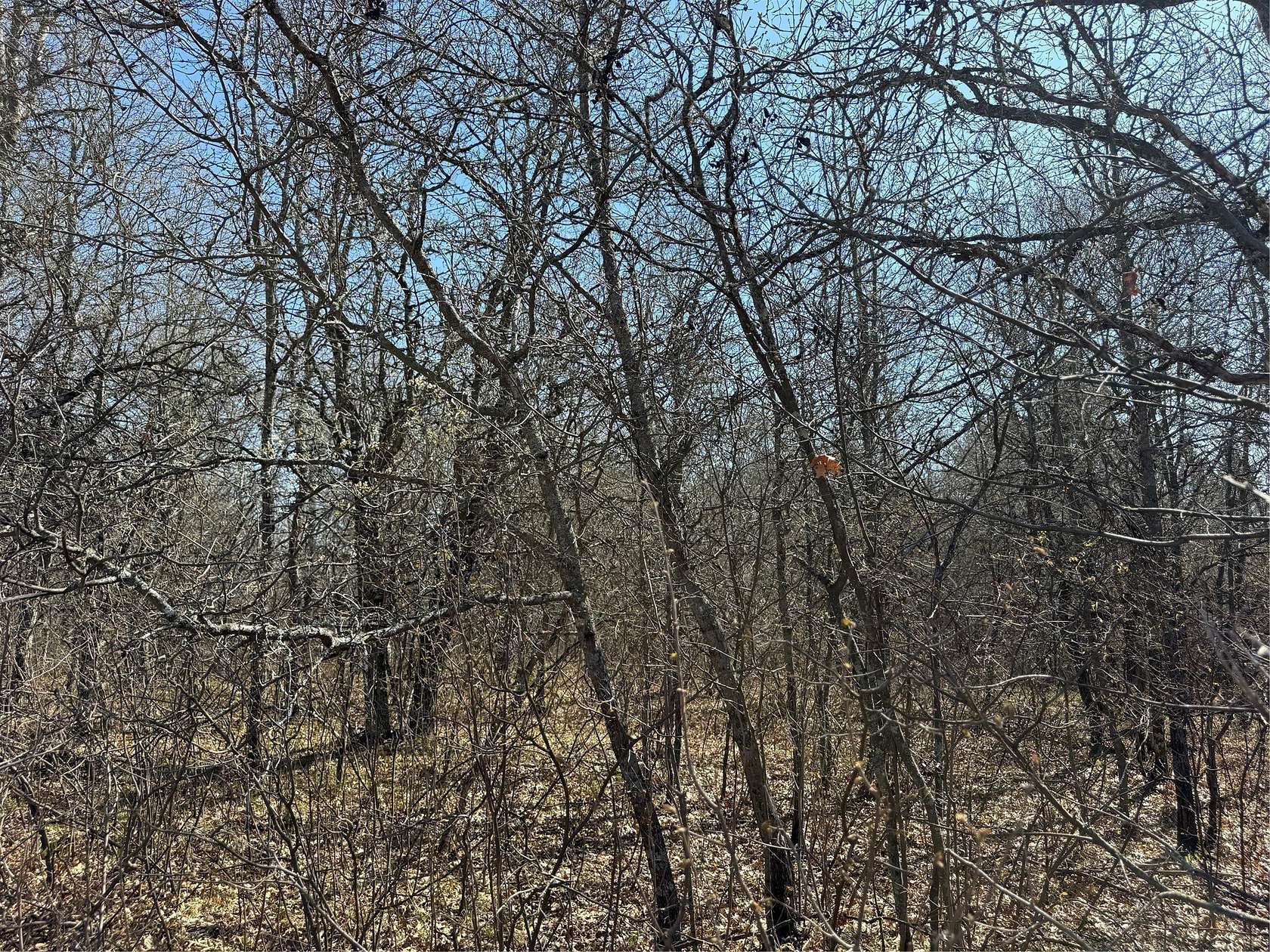 1.12 Acres of Residential Land for Sale in Barnes Town, Wisconsin