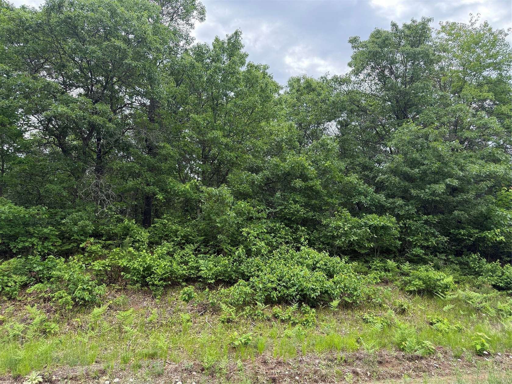1.12 Acres of Residential Land for Sale in Barnes Town, Wisconsin