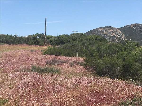 40 Acres of Land for Sale in Hemet, California