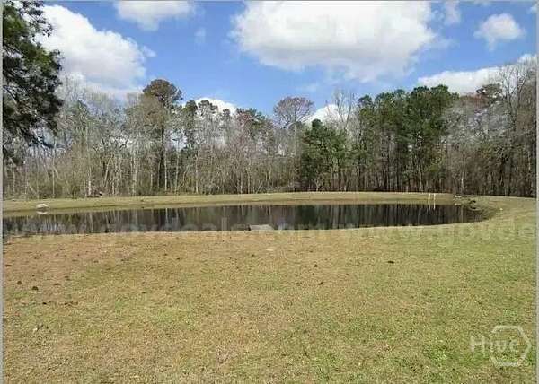 9.5 Acres of Residential Land for Auction in Springfield, Georgia