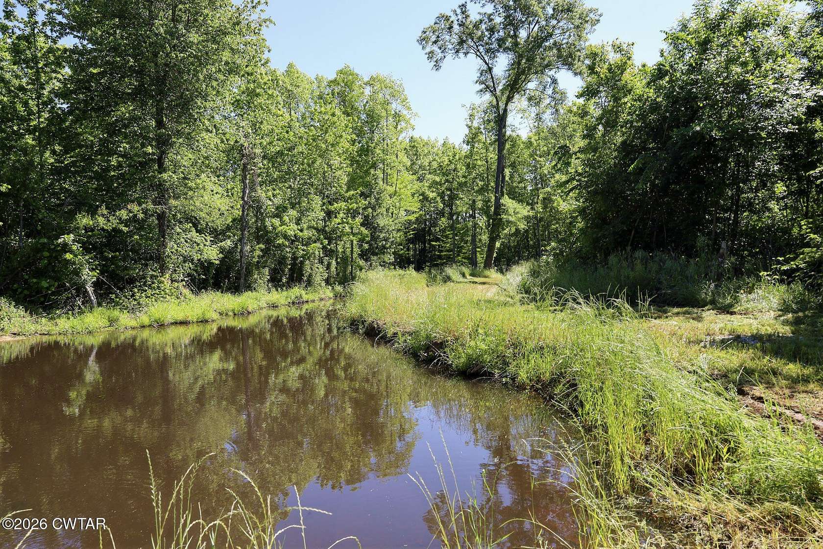 151 Acres of Land for Sale in Henderson, Tennessee