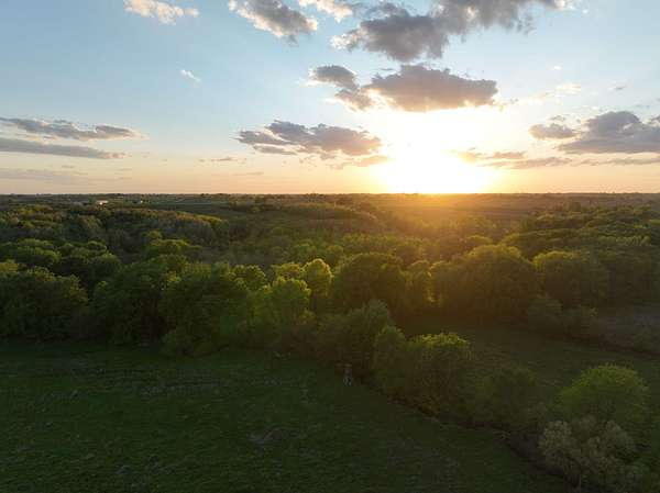 338 Acres of Land for Sale in Allerton, Iowa