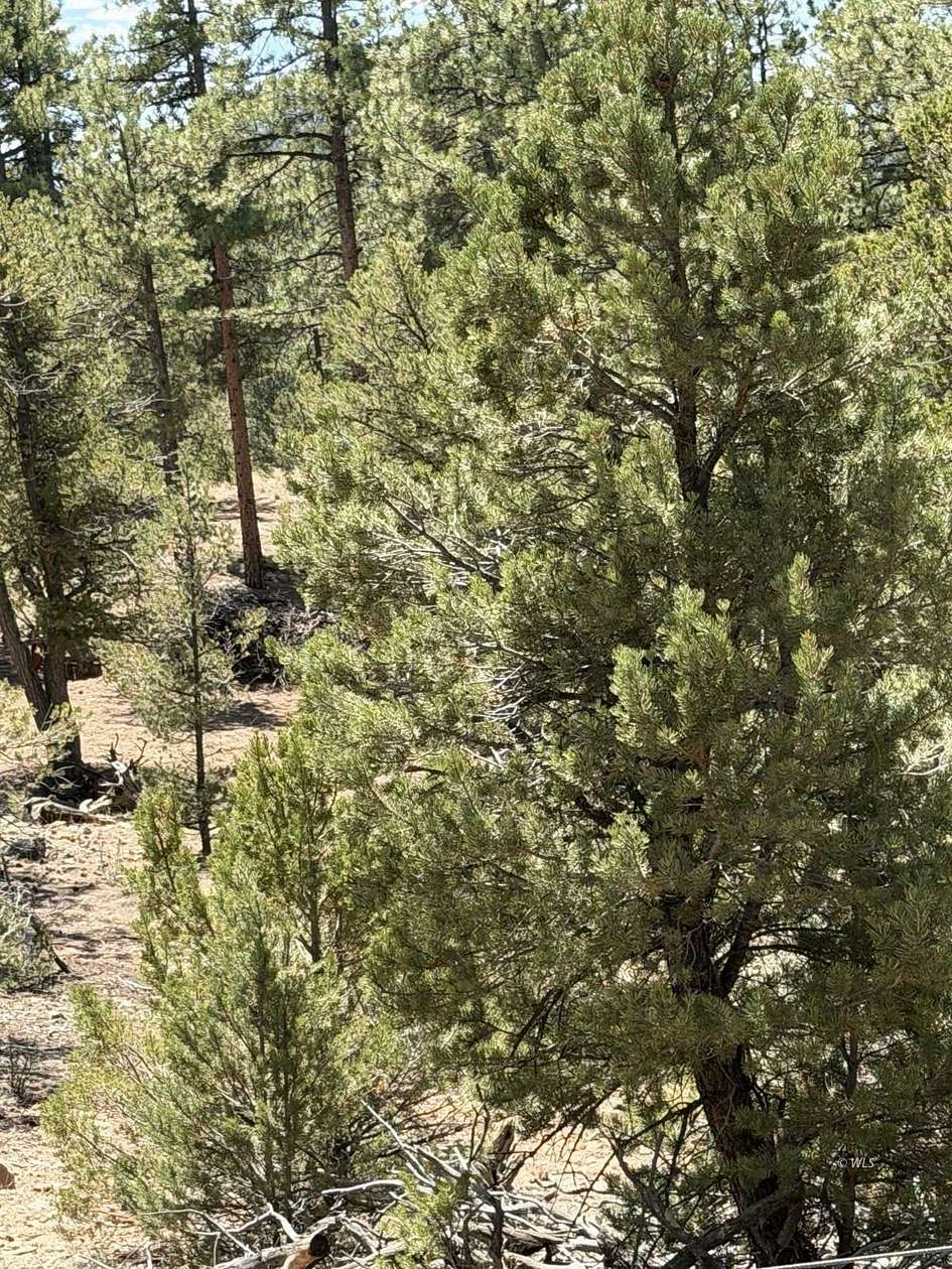 4.36 Acres of Residential Land for Sale in Cotopaxi, Colorado