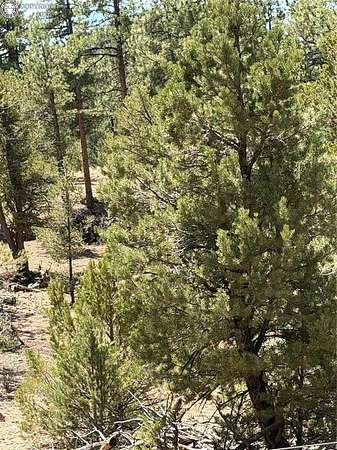 4.36 Acres of Land for Sale in Cotopaxi, Colorado