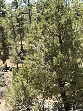 4.36 Acres of Residential Land for Sale in Cotopaxi, Colorado