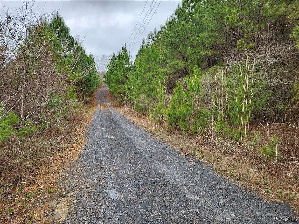 29 Acres of Land for Sale in Brookwood, Alabama