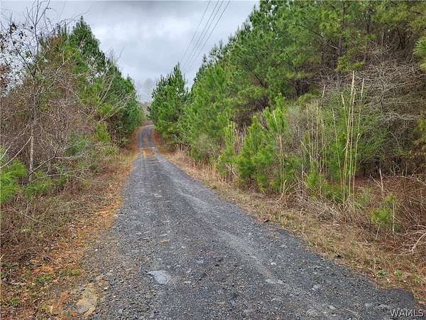29 Acres of Land for Sale in Brookwood, Alabama