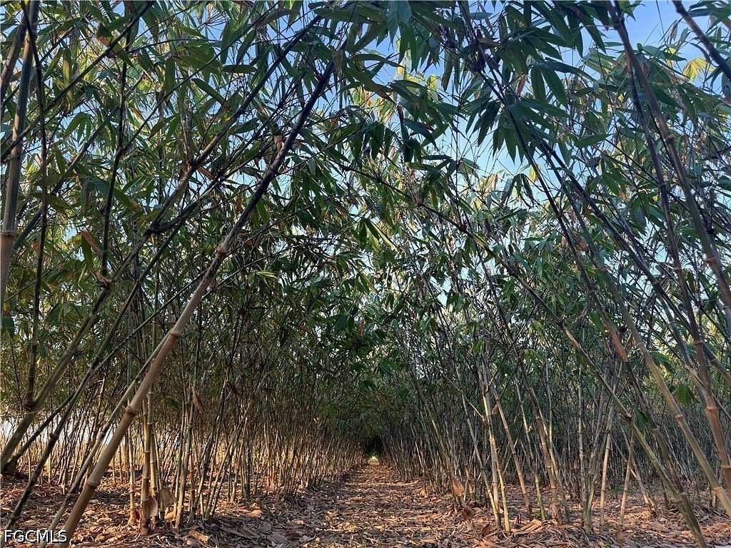 13.3 Acres of Land for Sale in LaBelle, Florida